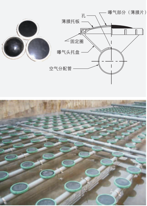 wps图片(22).png wps图片(22).png